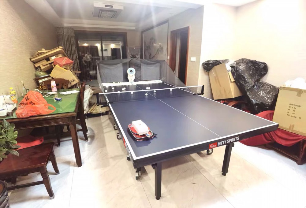 乒乓球台